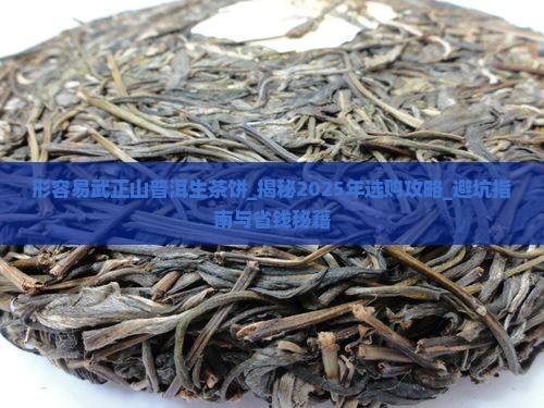 形容易武正山普洱生茶饼