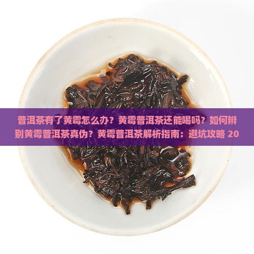 普洱茶有了黄霉