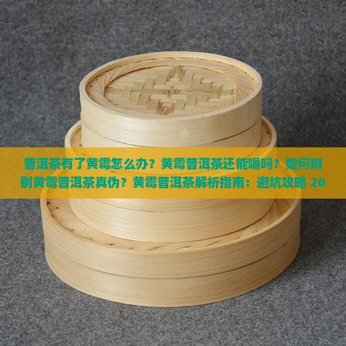 普洱茶有了黄霉