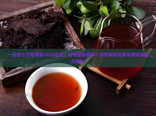 一品堂七子普洱茶