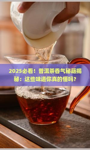 普洱茶各种茶的香气特点