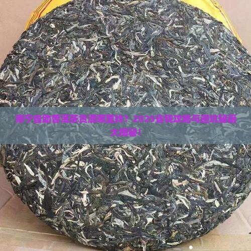 南宁自助普洱茶在哪里拿货