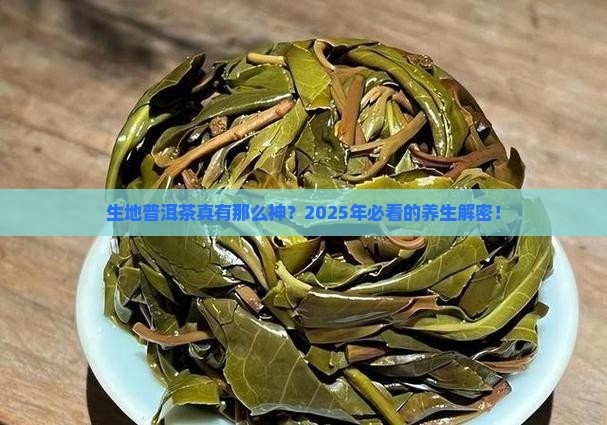 生地普洱茶的功效