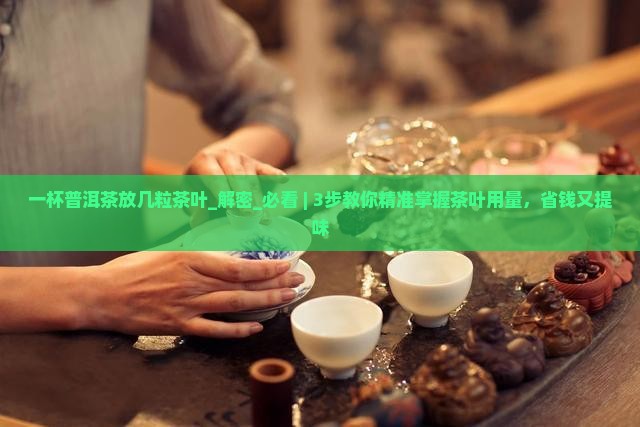 一杯普洱茶放几粒茶叶