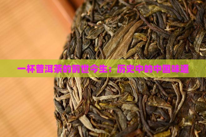 一杯普洱茶的前世今生