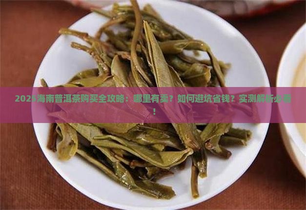 在海南哪里有卖普洱茶的地方