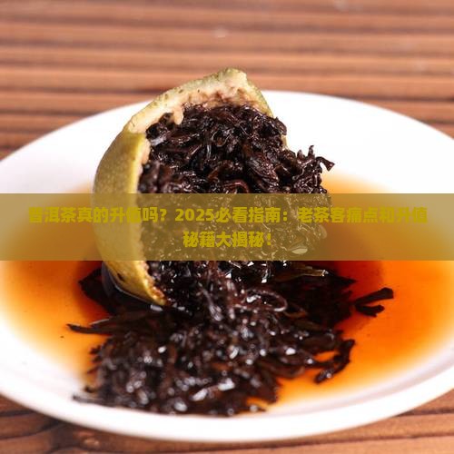普洱茶真的升值吗