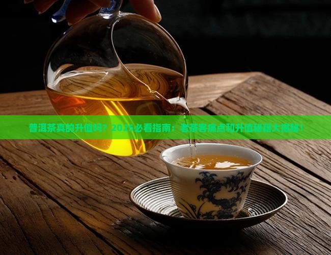 普洱茶真的升值吗