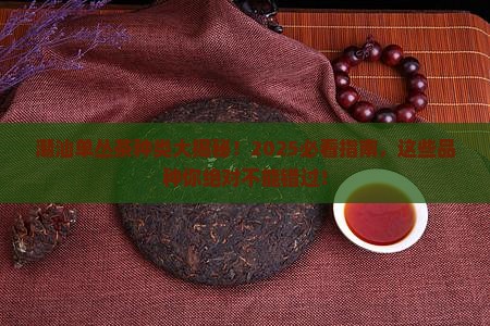 潮汕单丛茶种类