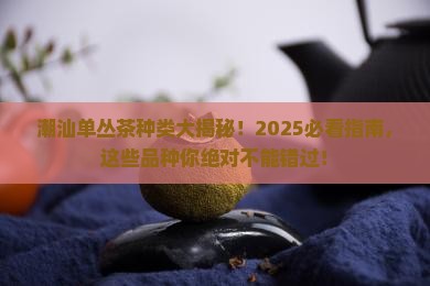 潮汕单丛茶种类
