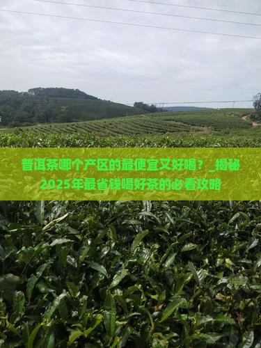 普洱茶哪个产区的最便宜又好喝