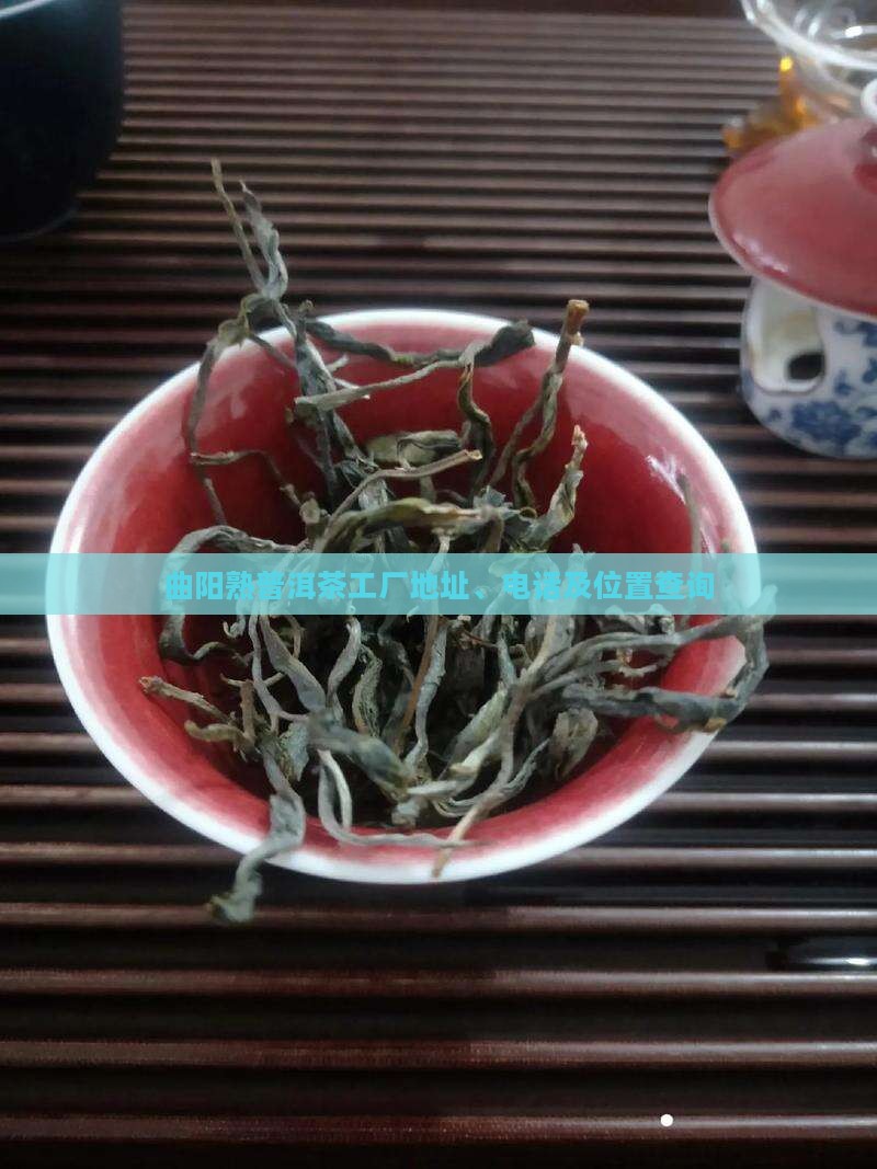 曲阳熟普洱茶工厂