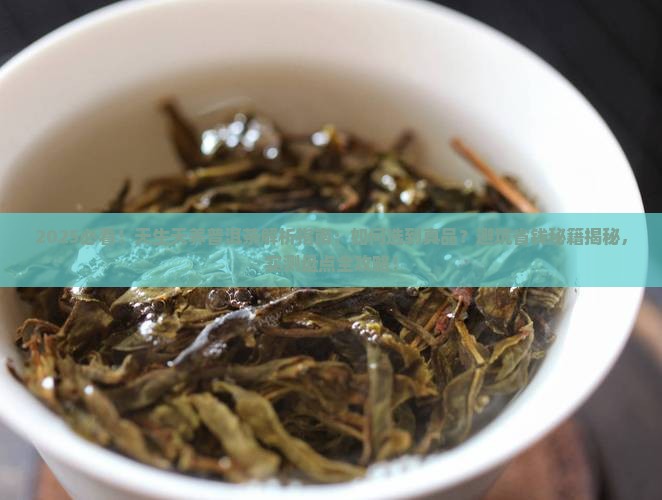 天生天养普洱茶