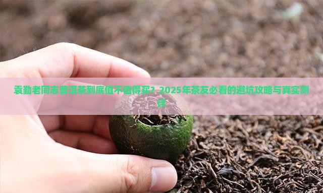 袁勤老同志普洱茶