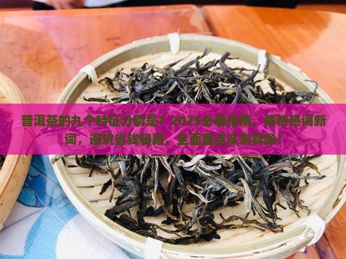 普洱茶的九个特征分别是