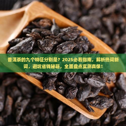 普洱茶的九个特征分别是