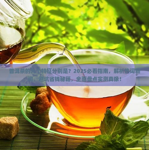 普洱茶的九个特征分别是