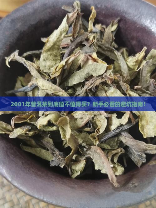 普洱2001批次意思