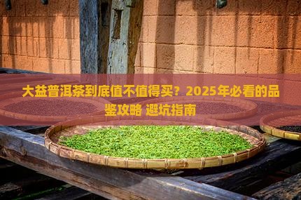 中华老字号大益普洱茶