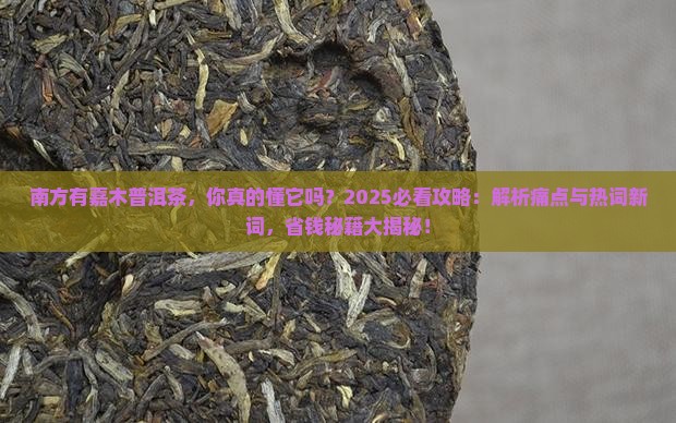 南方有嘉木普洱茶