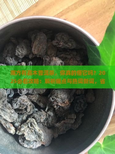 南方有嘉木普洱茶