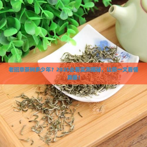 老班章茶树多少年