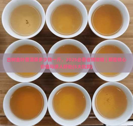 古树金叶普洱茶多少钱一斤