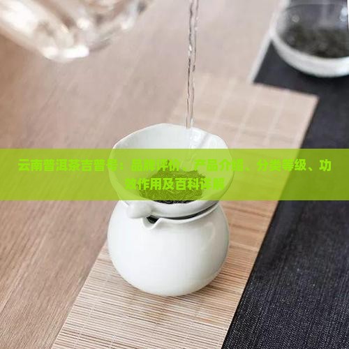 云南普洱茶吉普号