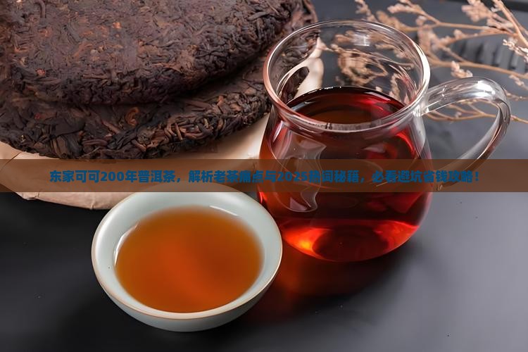 东家可可200年普洱茶