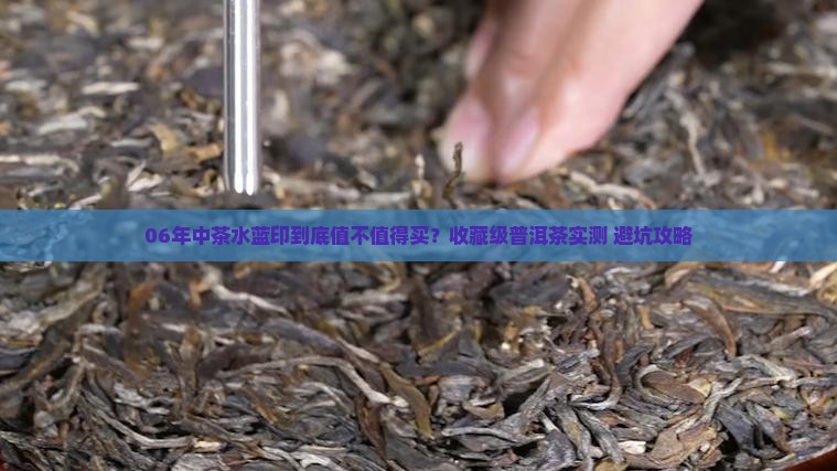 06年中茶水蓝印