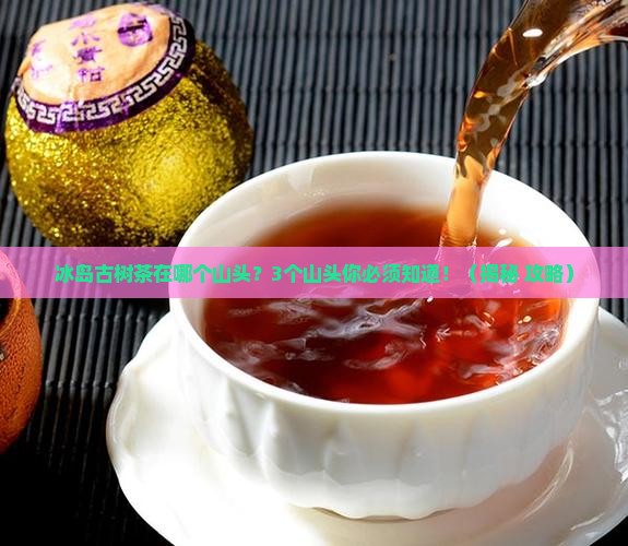 冰岛古树茶在哪个山头