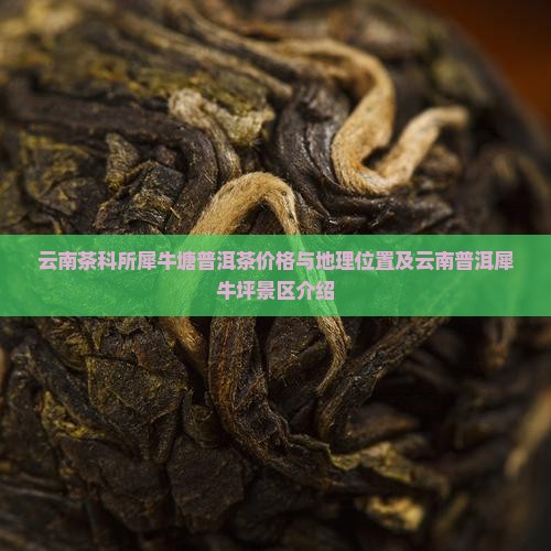 云南茶科所犀牛塘普洱茶
