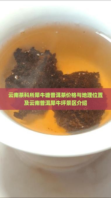云南茶科所犀牛塘普洱茶