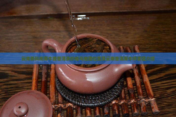 云南茶科所犀牛塘普洱茶