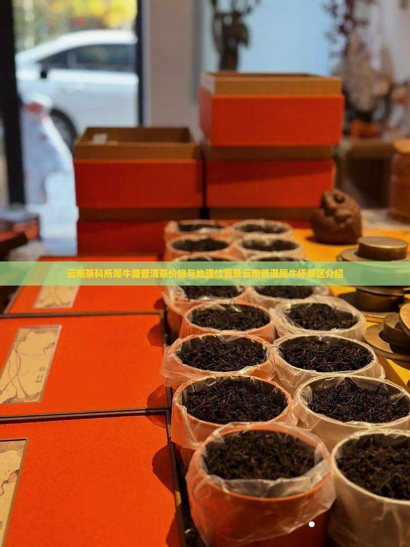 云南茶科所犀牛塘普洱茶