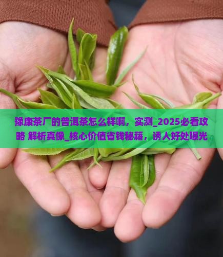 豫康茶厂的普洱茶怎么样啊