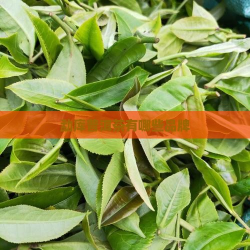 勐库普洱茶有哪些品牌