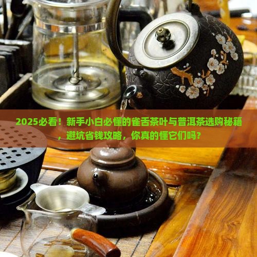 雀舌茶叶与普洱茶