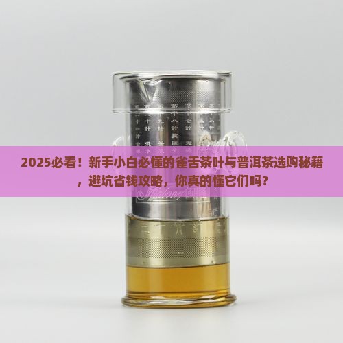 雀舌茶叶与普洱茶