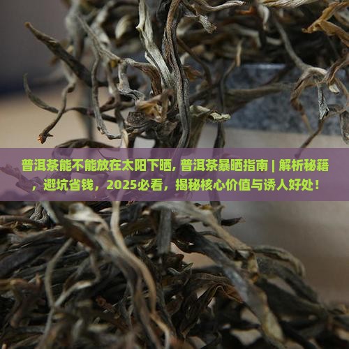 普洱茶能不能放在太阳下晒