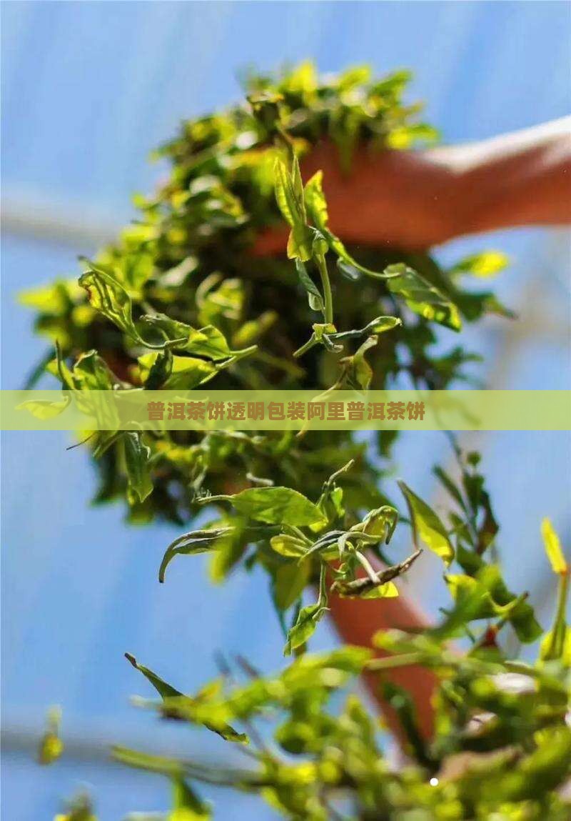普洱茶饼透明保质袋