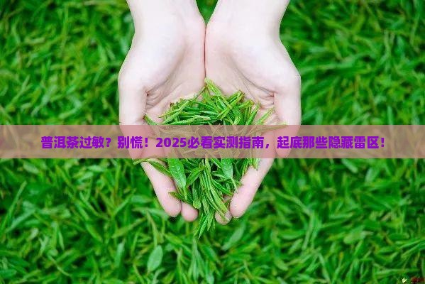 普洱茶和什么过敏