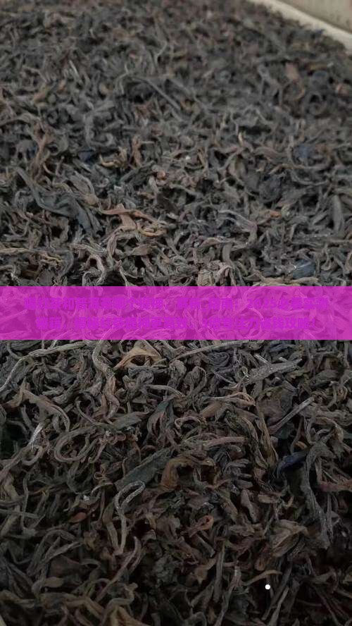 喝红茶和普洱茶哪个提神