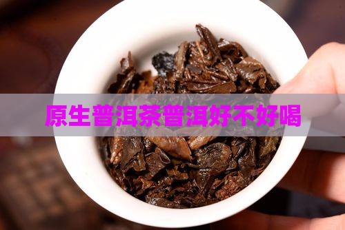 原生树普洱茶好不好喝