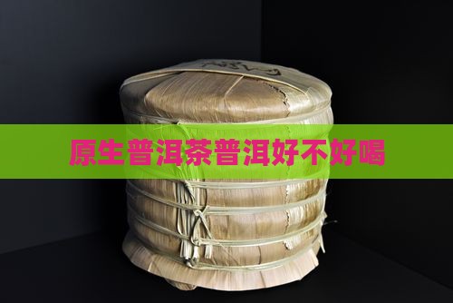 原生树普洱茶好不好喝