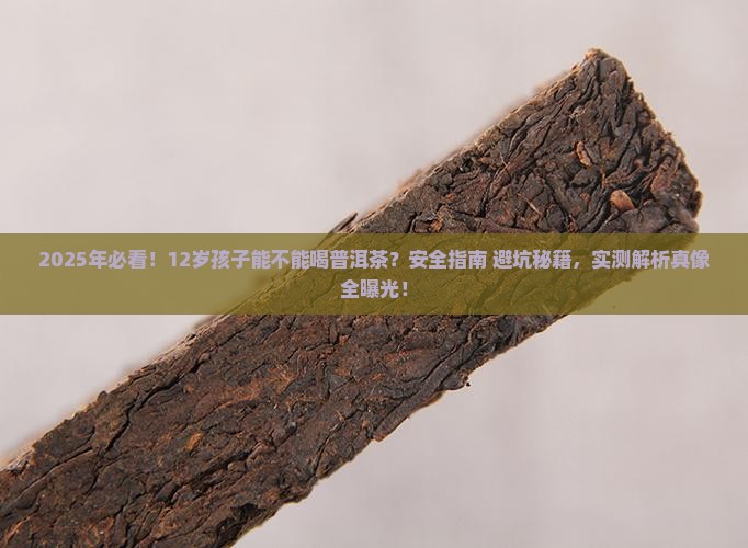 12岁能不能吃普洱茶