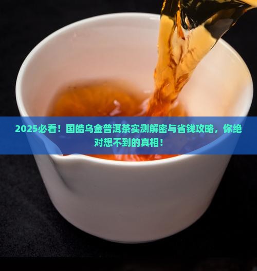 国皓乌金普洱茶