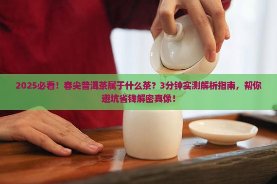 春尖普洱茶属于什么茶