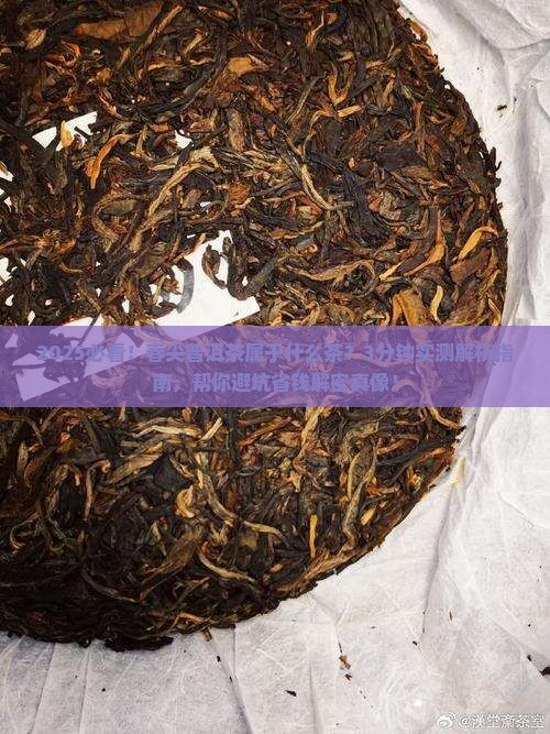 春尖普洱茶属于什么茶