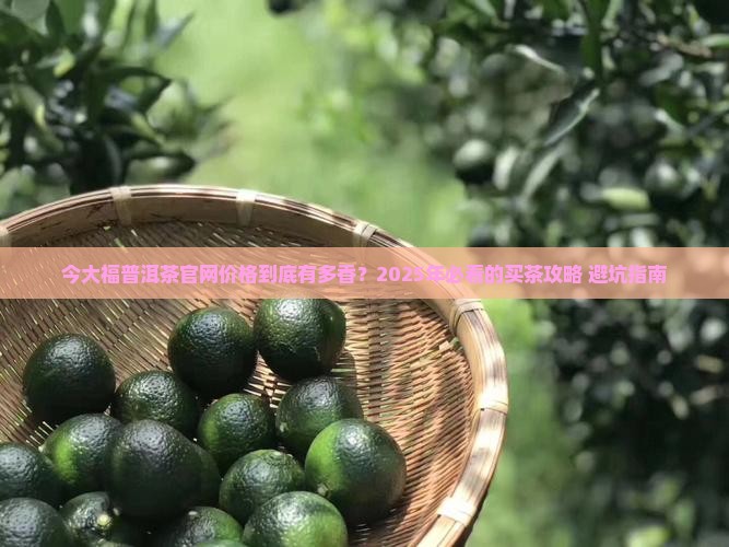 今大福普洱茶官网价格